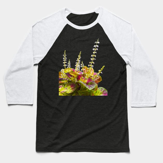 Nature Plant and Flower Photography Baseball T-Shirt by quenguyen